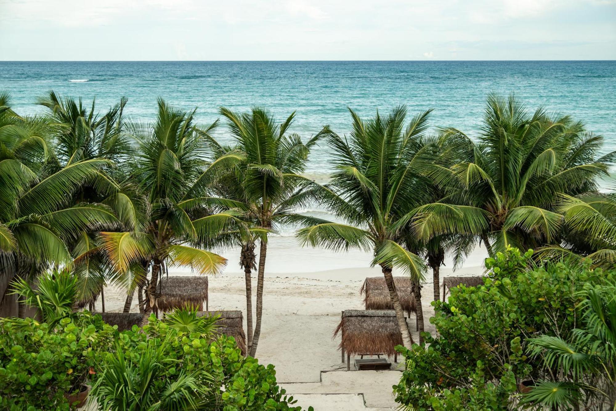 Xela Tulum - Member Of Design Hotels エクステリア 写真